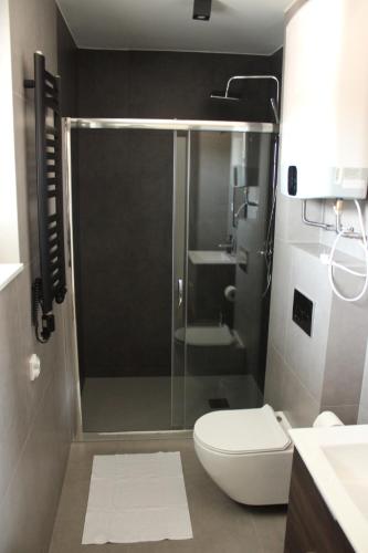 a bathroom with a shower with a toilet and a sink at BSApartament in Piwniczna-Zdrój