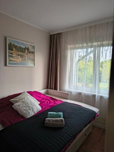 a bedroom with a large bed with a window at Apartament Wiejski Raj in Kozy