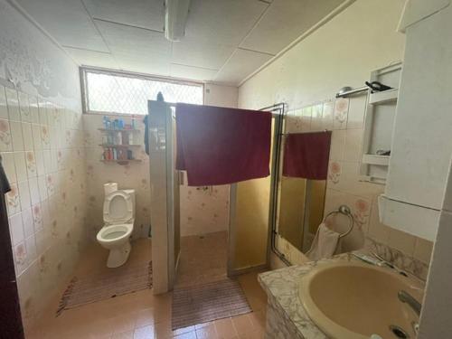a bathroom with a shower and a toilet and a sink at Fare Taitua in Papara