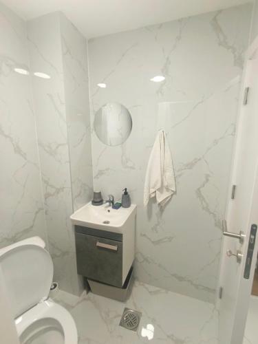 a white bathroom with a toilet and a sink at VracarHouse in Vračar (historical)