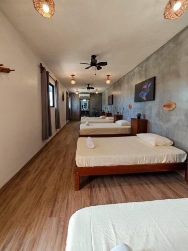 ein Zimmer mit vier Betten und einer Decke in der Unterkunft Hippie Fish Hostal in Holbox
