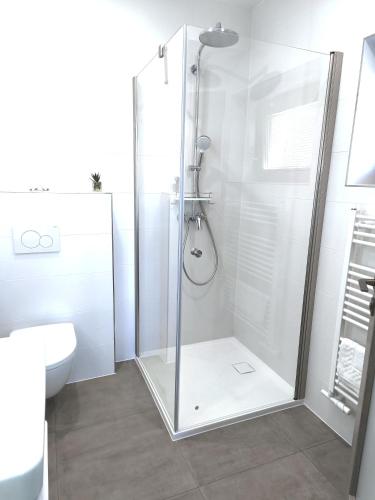 a shower with a glass door in a bathroom at Apartmány Kvetná in Rajecké Teplice