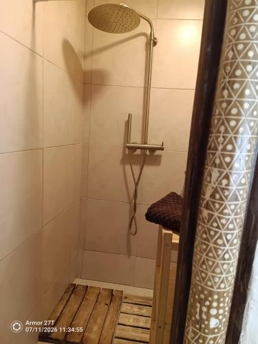 a shower with a shower head in a bathroom at Casa do Adro in Corte do Gafo de Cima