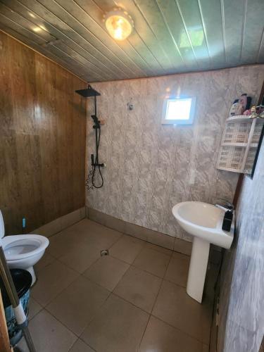 a bathroom with a sink and a toilet at guest house "BETQIL" adishi in Adishi