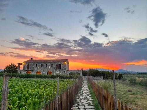 an old building in the middle of a vineyard at sunset at Kulla Zefit Agritourism in Hajmel