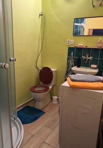 a bathroom with a toilet and a sink at Cozy studio near the Hot Spring in Karlovy Vary