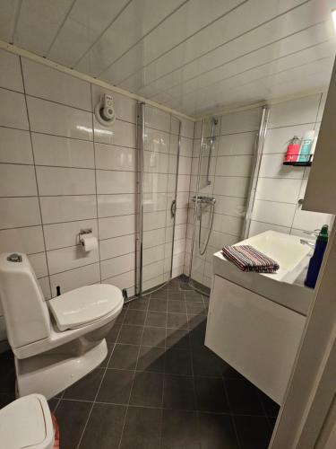 a bathroom with a toilet and a sink and a shower at Sokkelleilighet rett ved Saltstraumen in Bodø