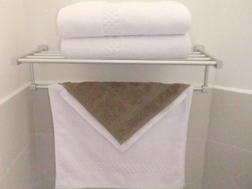 a stack of towels on a shelf in a bathroom at Hotel Casa Ecuatreasures Centro Historico in Quito