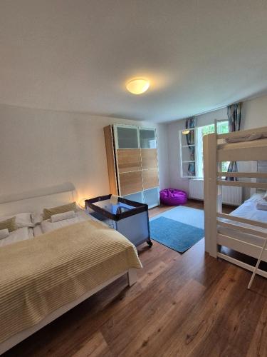 a bedroom with a bed and a bunk bed at Apartmány Karina in Janske Lazne