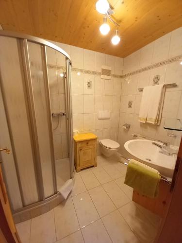 a bathroom with a shower and a sink and a toilet at Bad Kalkstein in Innervillgraten