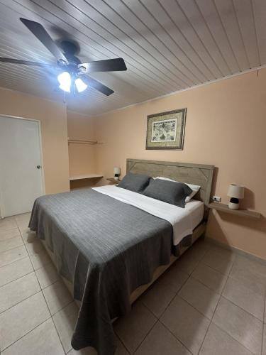 a bedroom with a bed with a ceiling fan at Paradise Nest in Oranjestad