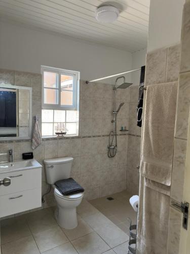 a bathroom with a toilet and a sink and a shower at Paradise Nest in Oranjestad