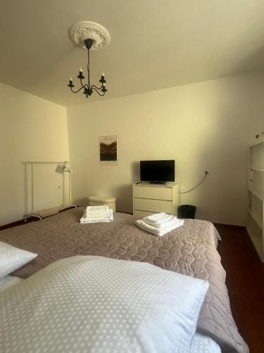 a bedroom with two beds and a television in it at Historic Charm Apartment Bayreuth in Bayreuth