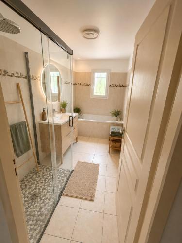 a bathroom with a shower and a sink at Maison à Cahors in Cahors