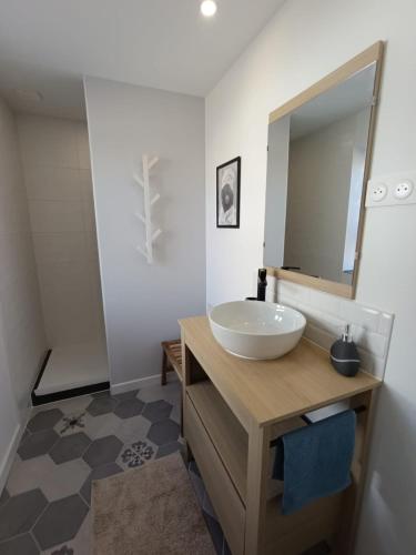 a bathroom with a sink and a mirror at Nids des cigognes in Furchhausen