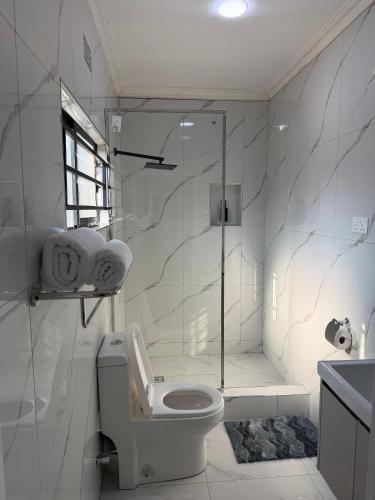 a white bathroom with a toilet and a shower at Gabstel Apartments in Kitwe