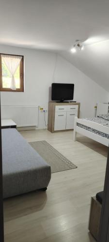 a white room with two beds and a television at Lopofa in Lunca de Sus