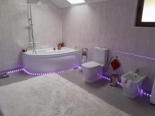 a bathroom with a tub and a toilet and purple lights at Casa Maria in Curtea de Argeş