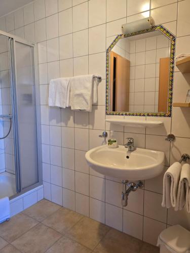a bathroom with a sink and a shower and a mirror at Reitpark Gstöttner in Schönau im Mühlkreis