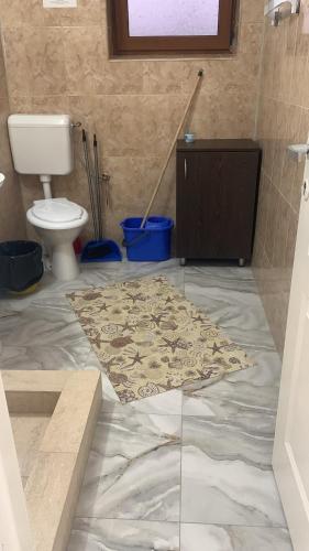 a bathroom with a toilet and a rug on the floor at Hostel Cazino Sud in Mamaia