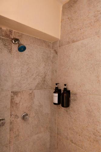 two bottles of soap are sitting on a shelf in a shower at Rinconcito de Galarza 28 in Guanajuato