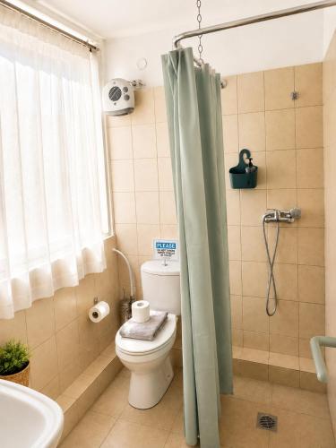 a bathroom with a toilet and a shower at Acropolis Center Rooms in Athens