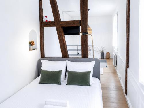 Loft Strasbourg proche Petite France