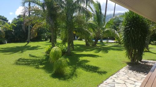 a green yard with palm trees and grass at Villa ManaOra in Taravao