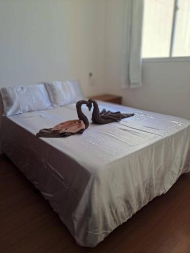 two birds sitting on top of a bed at Brisa do mar região dos lagos in São Pedro da Aldeia