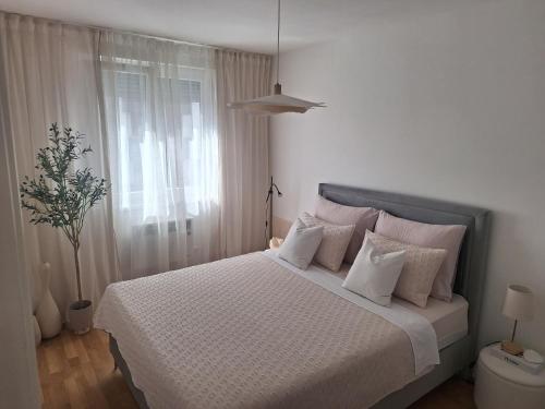 Zadar D'or with free private parking
