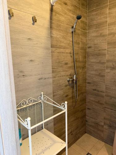 a shower in a bathroom with a wooden wall at Izabelės apartamentai in Palanga