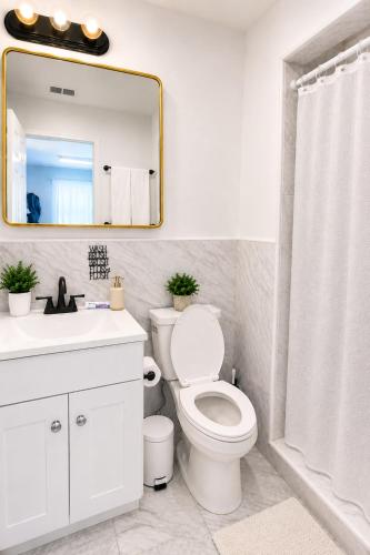 a bathroom with a toilet and a sink and a mirror at The orlando oasis in Orlando