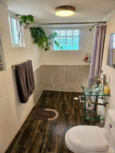 a bathroom with a toilet and a sink and a window at Beautiful Loft 10 minutes from AIFA in San Pedro Atzompa