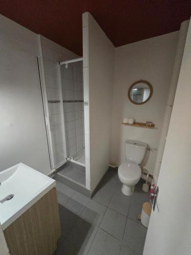 a bathroom with a shower and a toilet and a sink at Le Club Philibert in Auxerre