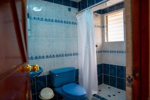 a bathroom with a blue toilet and a shower at Luz y Amistad - Pisac in Pisac