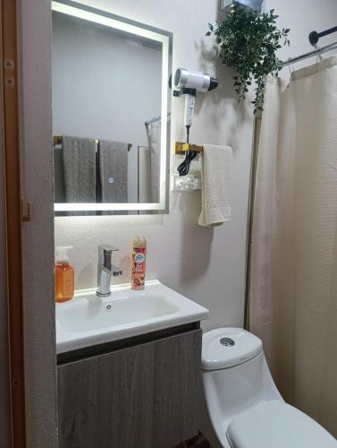 a bathroom with a sink and a mirror and a toilet at Alma Libre 01 in Fortuna