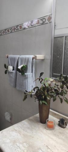 a bathroom with towels and a potted plant on a counter at Pueblo Nómade in Tranqueras