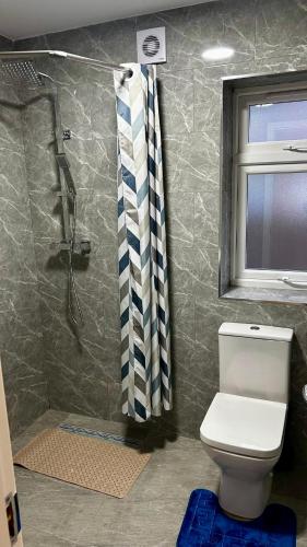 a bathroom with a shower and a toilet and a window at HomesRentals in Dudley