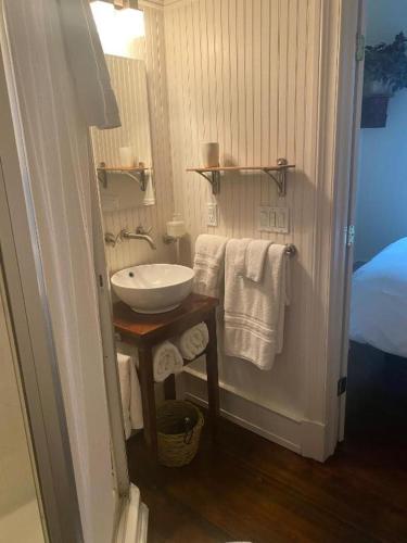a small bathroom with a sink and towels at Riverview Organic Bed & Breakfast and Wellness Center in Piermont
