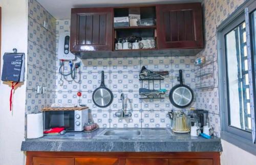 Cuina o zona de cuina de NADINE HOME iv