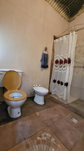 a bathroom with a toilet and a shower curtain at Kallpa Warmi in San Antonio