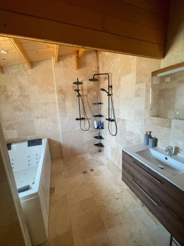a bathroom with a shower and a sink at Petit Chalet Cosy - Saint-Dié-des-Vosges T2 in Saint-Léonard