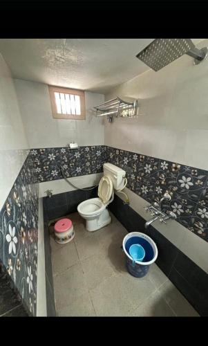 a bathroom with a toilet and a sink at Cocogreen Hampi in Hampi