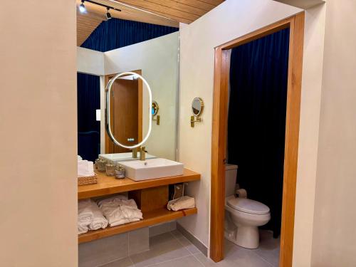 a bathroom with a sink and a mirror and a toilet at Casa Frida in Valle de Guadalupe
