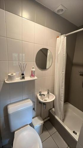 a bathroom with a toilet and a sink and a mirror at LaVue - Forest Twin Rooms in La-Roche-en-Ardenne