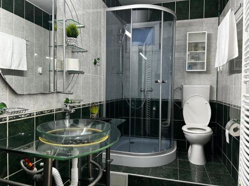 a bathroom with a sink and a toilet and a shower at Casa Corvin View in Hunedoara