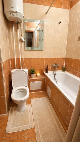 a bathroom with a toilet and a bath tub at Economy - class apartment in Pavlodar