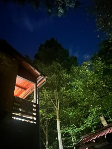 a night view of a house with trees in the background at Hegyi-lak vendégház in Praid