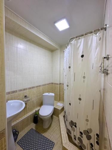 a bathroom with a toilet and a shower and a sink at Asman Hotel in Bosteri