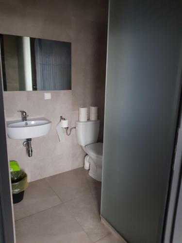a bathroom with a toilet and a sink at Owk Korona in Mikoszewo